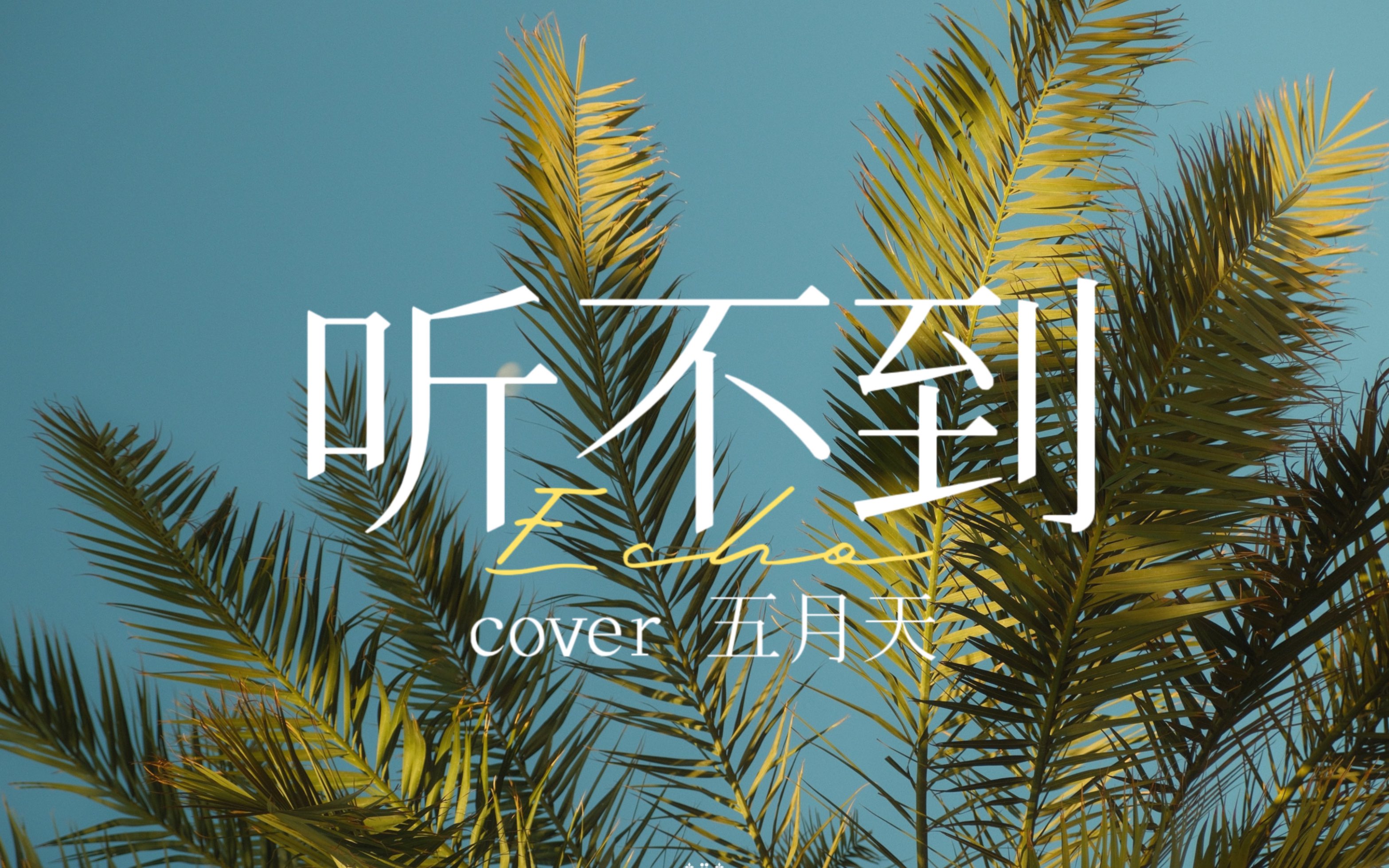 黑芝烧「听不到」——记一次被黑洞支配的连麦直播小宇宙会发光吖小宇宙会发光吖哔哩哔哩视频