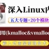 【嵌入式Linux】剖析Linux内核系统调用(kmalloc&vmalloc实现）| 五个专题+20个实战项目