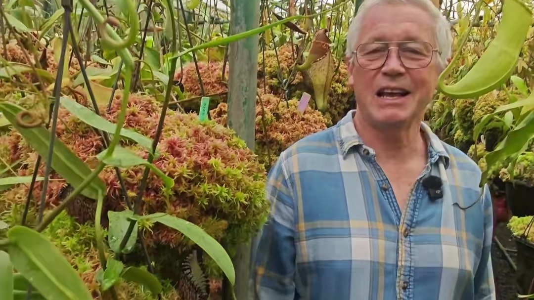 缤纷brighten来斯里兰卡拜访著名猪笼草育种 家BE的罗伯特·坎特利啦~一起来看看BE的苗 圃里有多少好东西吧。官方授权代理的BE猪笼草 就在缤纷食虫!