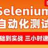 【2025】最新最全Selenium教程（纯干货），3个小时零基础快速掌握Selenium自动化测试，基础到实战，白嫖入行