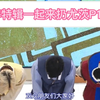 金泰浩PD的综艺秀【E367 140201（P