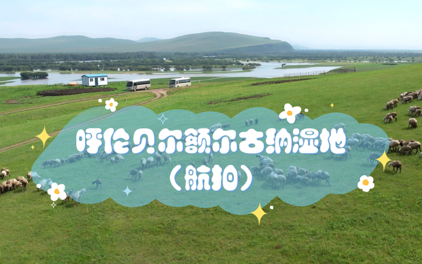 呼伦贝尔额尔古纳湿地(航拍)
