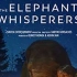 【纪录片】小象守护者 The Elephant Whisperers（2022）
