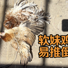 软妹子鸡，易推倒
