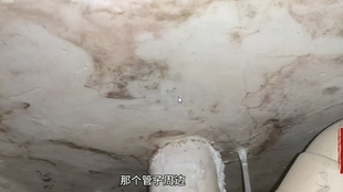 7c155044d987858d066c2b29ef9befc413553716.jpg@310w_174h_1c_100q.jpg