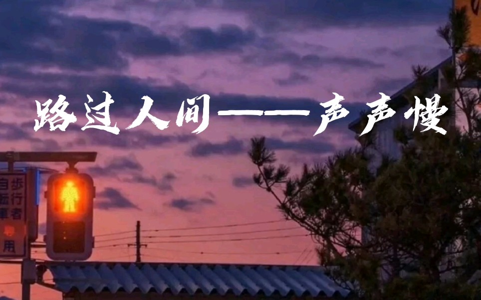 cv声声慢路过人间