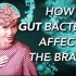 【What I've Learned】双语·肠道菌群如何影响大脑 How Gut Bacteria Affect The