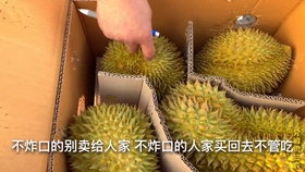 7c2e105fbdaa1a79a7fa43c3656b895b4c5adf38.jpg@280w_158h_1c_100q.jpg