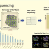 空间转录组学的模型和方法 || Ben Raphael || CGSI