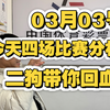 03月03号，四场铁胆分析，诺丁汉森林VS伊普斯维奇，尤文VS维罗纳，黄潜VS西班牙人，里斯本VS埃斯托里。有稳有博，二狗带你回血