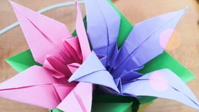 7c6d6883d18f6da2fcc28716b6a8e887690a5a4c.jpg@280w_158h_1c_100q.jpg