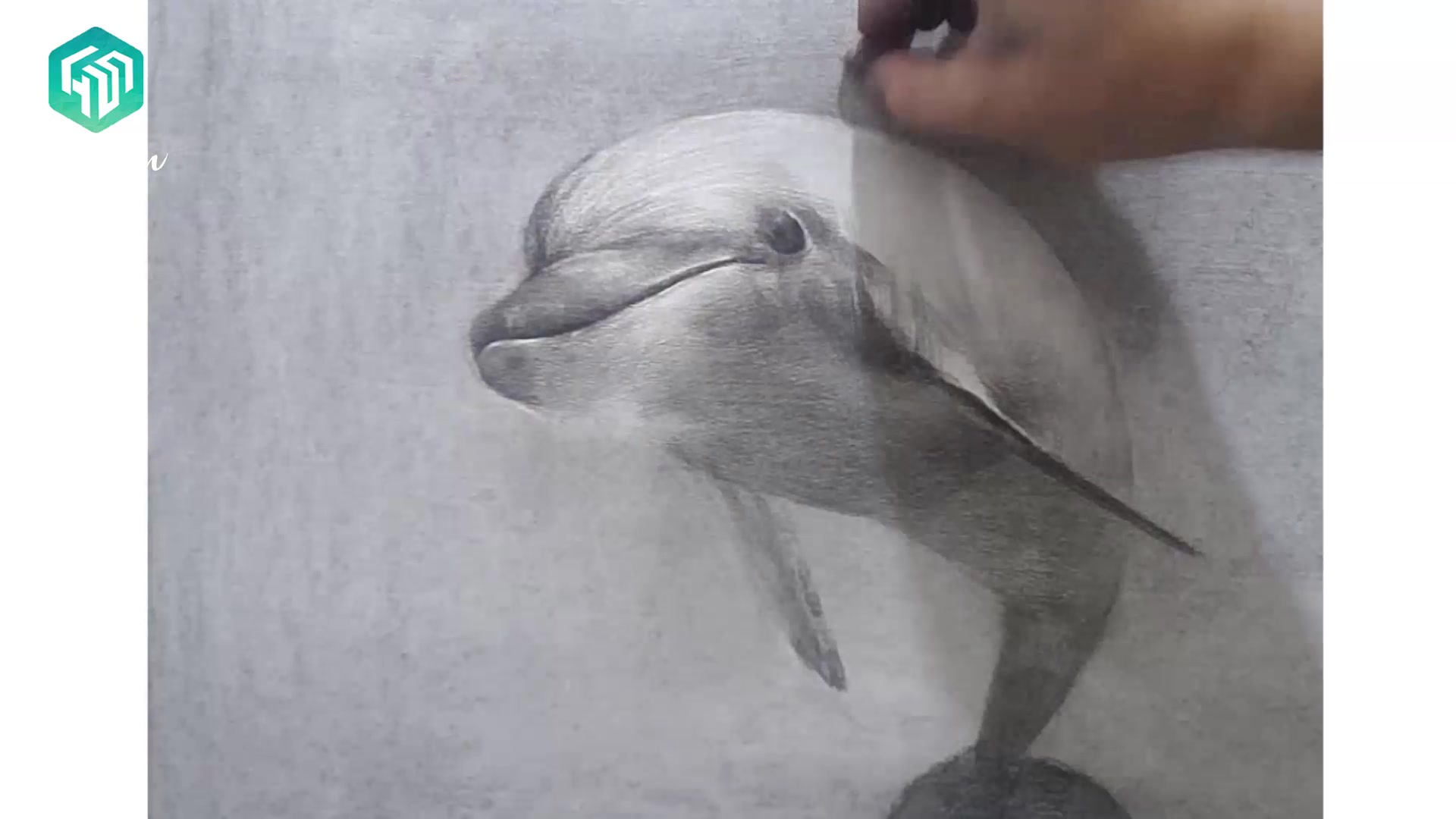 【素描教程】这只海豚居然在央美状元笔下活了?