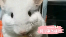 7c72fe8df03ccfe63f78091182dde1e01546b9ba.jpg@280w_158h_1c_100q.jpg