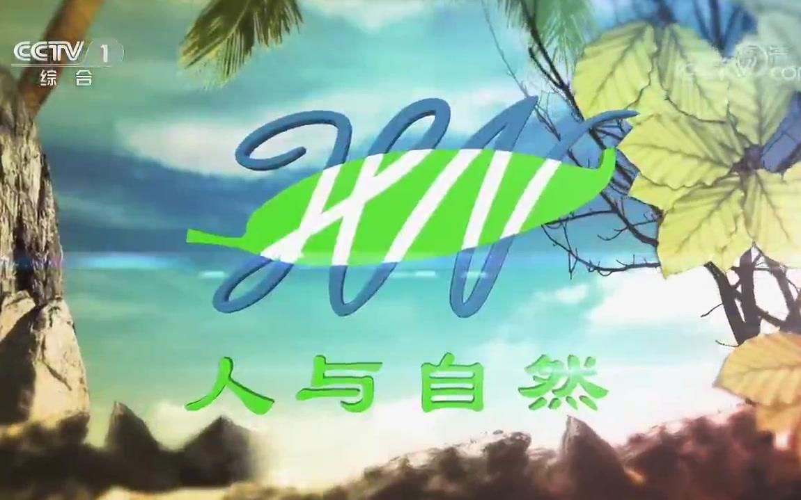 《人与自然》 南太平洋系列哔哩哔哩 (゜゜)つロ 干杯~bilibili