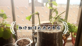 7c7bfe272e512a15f093f606adf43266497d1cb4.jpg@280w_158h_1c_100q.jpg