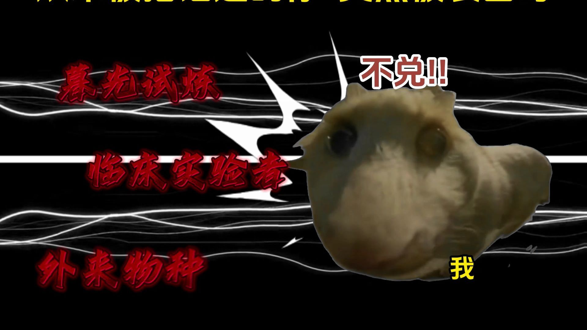 她喜欢我？