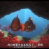 【动画电影/短片】《finding Nemo》（1）