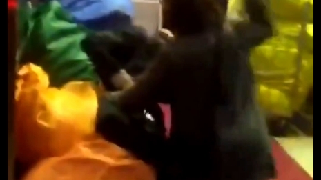 On the streets of Japan, everyone has their own thing to do #2