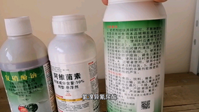 7ca5c33e95e0a676a128aa4c2ba73f5cd8343fe2.png@280w_158h_1c_100q.jpg