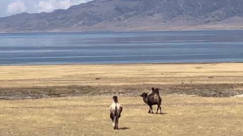 7cb0569549846afb21437c139b5f55789c9e54d4.jpg@480w_270h_1c