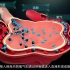 医维度3D人体解剖九大系统之呼吸系统