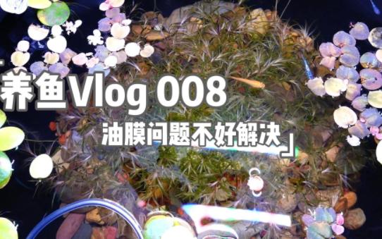 养鱼Vlog 008 油膜问题不好解决