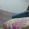 【爱尔兰哨笛】夏季霸吹-4 «The Lark In The Morning