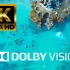 越南 8K Video Ultra HD 60 FPS