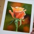 【水彩教程】写实风格玫瑰水彩画法