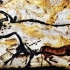 【字幕队长】洞穴艺术科普 美国国家地理 Cave Art 101 National Geographic 1080P