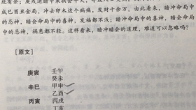 7cfc9f365c62971c598abf822078b68845c43a3d.jpg@280w_158h_1c_100q.jpg