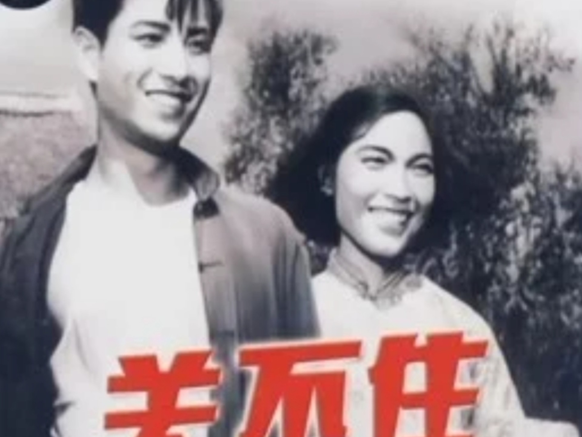 字幕下载