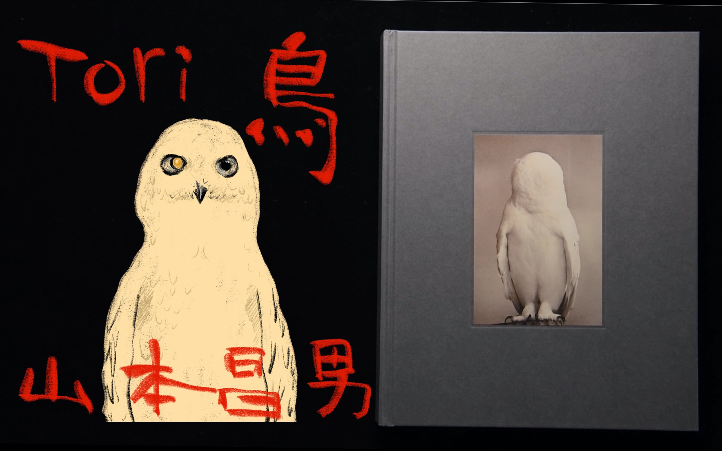 Tori「鸟」-Masao Yamamoto「 山本昌男」-摄影画册翻书视频-哔哩哔哩