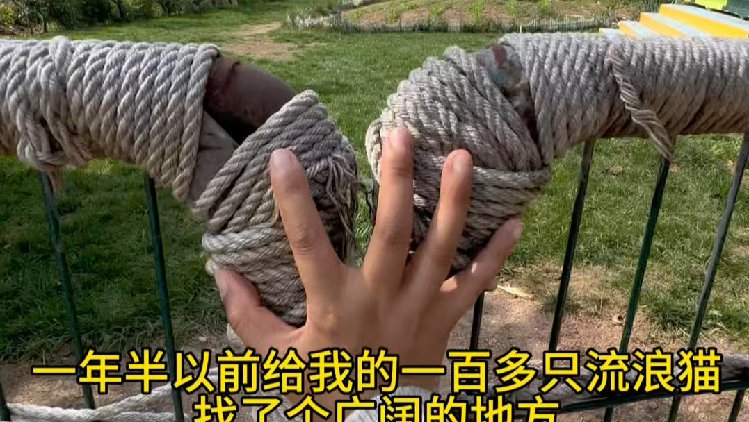 一个视频记录这三年多的点点滴滴