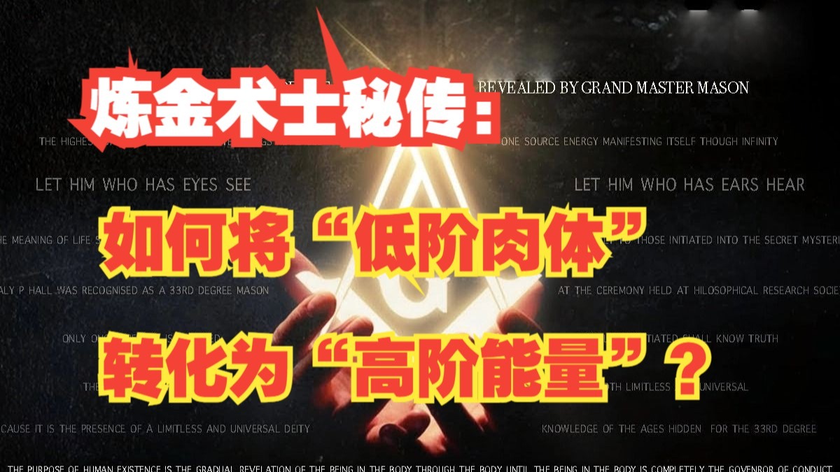 炼金术士秘传：如何将“低阶肉体”转化为“高阶能量”？