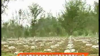 CCTV7企业形象2.0（2008-2012）