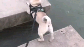 7d5b4d38474256008e620ebc840552c6121ab16d.png@280w_158h_1c_100q.jpg