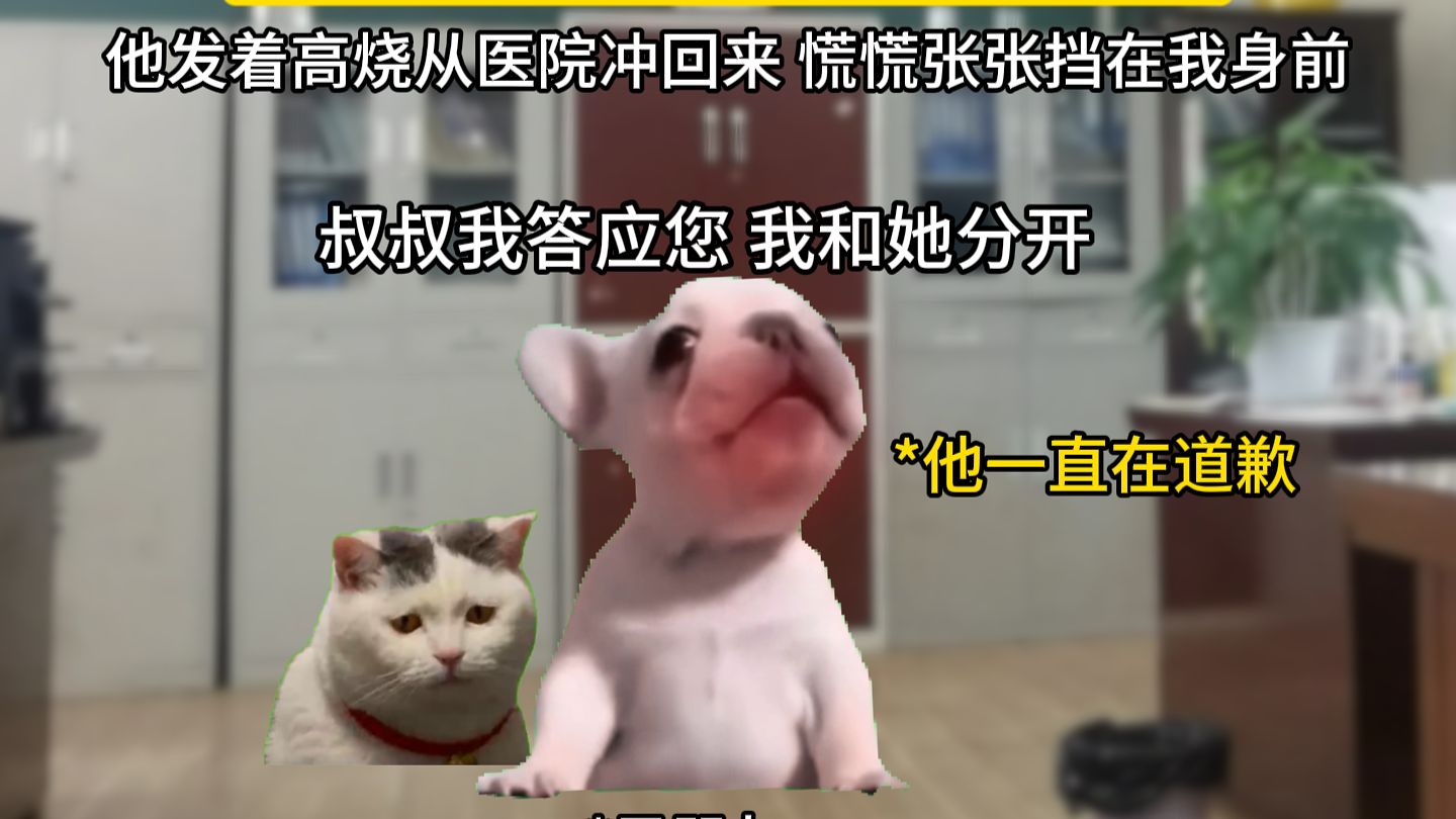 那些偷偷守护的日子，最后都变成了明目张胆的幸福