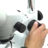 晶锐光学SZM系列双目显微镜的使用（1）