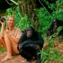 纪录片 珍·古道尔的野生黑猩猩