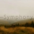 【欧美音乐】Nico Santos feat B-Case-Symphony