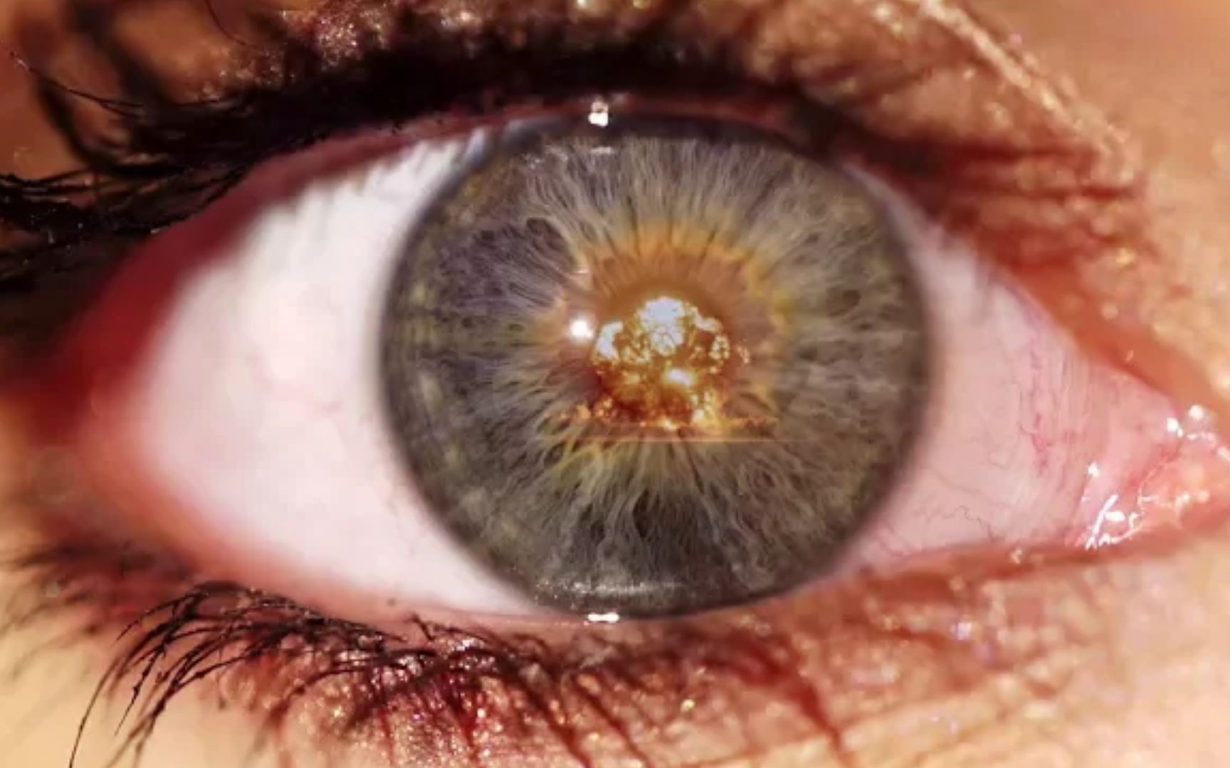 非看不可的核战争电影