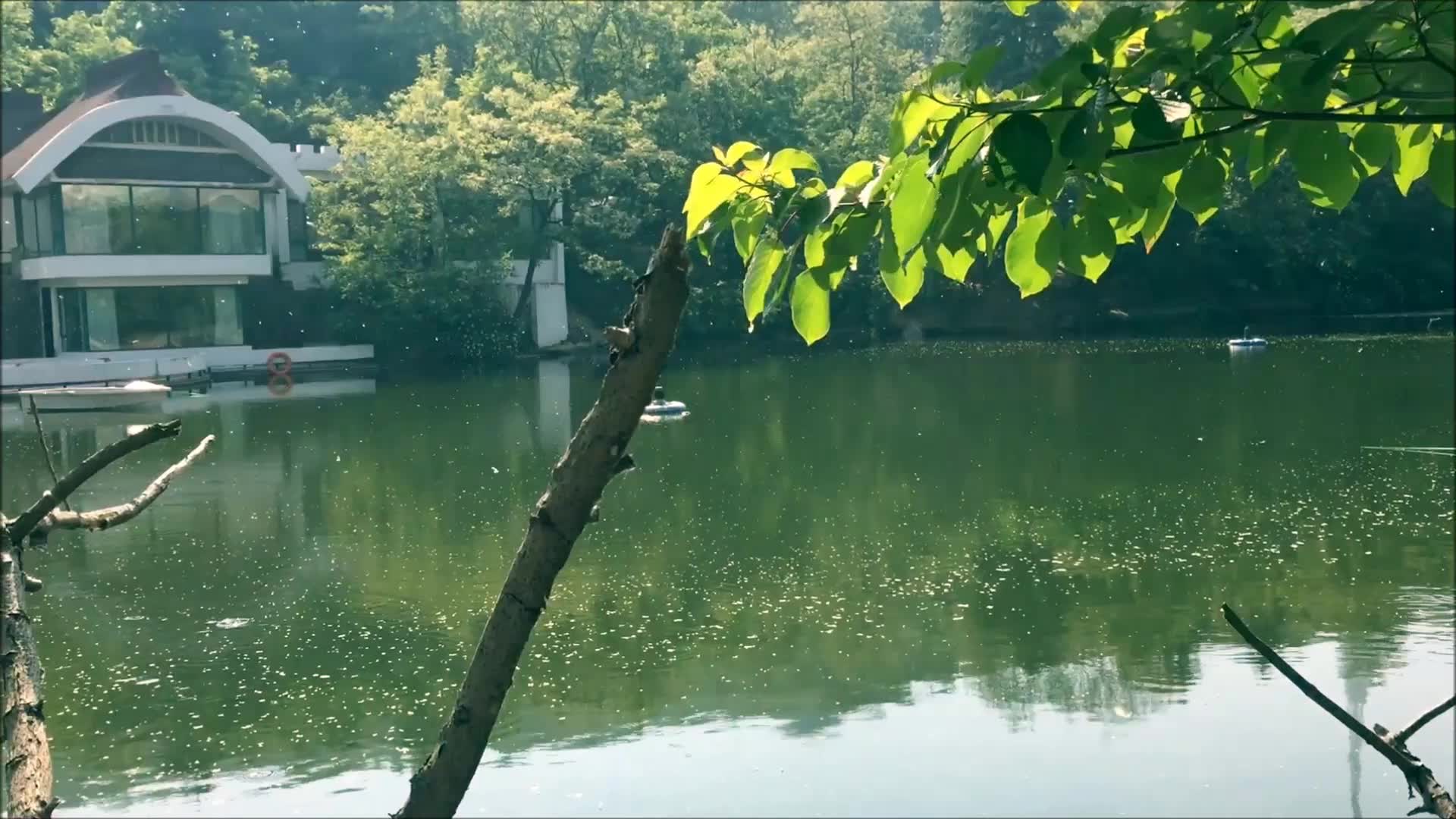 [1]青岛植物园图片