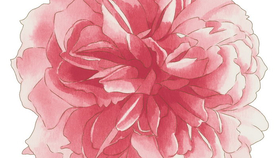 7d8b7aa96395d3be7ca52f70ec15e5b959a6a3ed.png@280w_158h_1c_100q.jpg