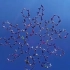 世界纪录：164人花样组合跳伞