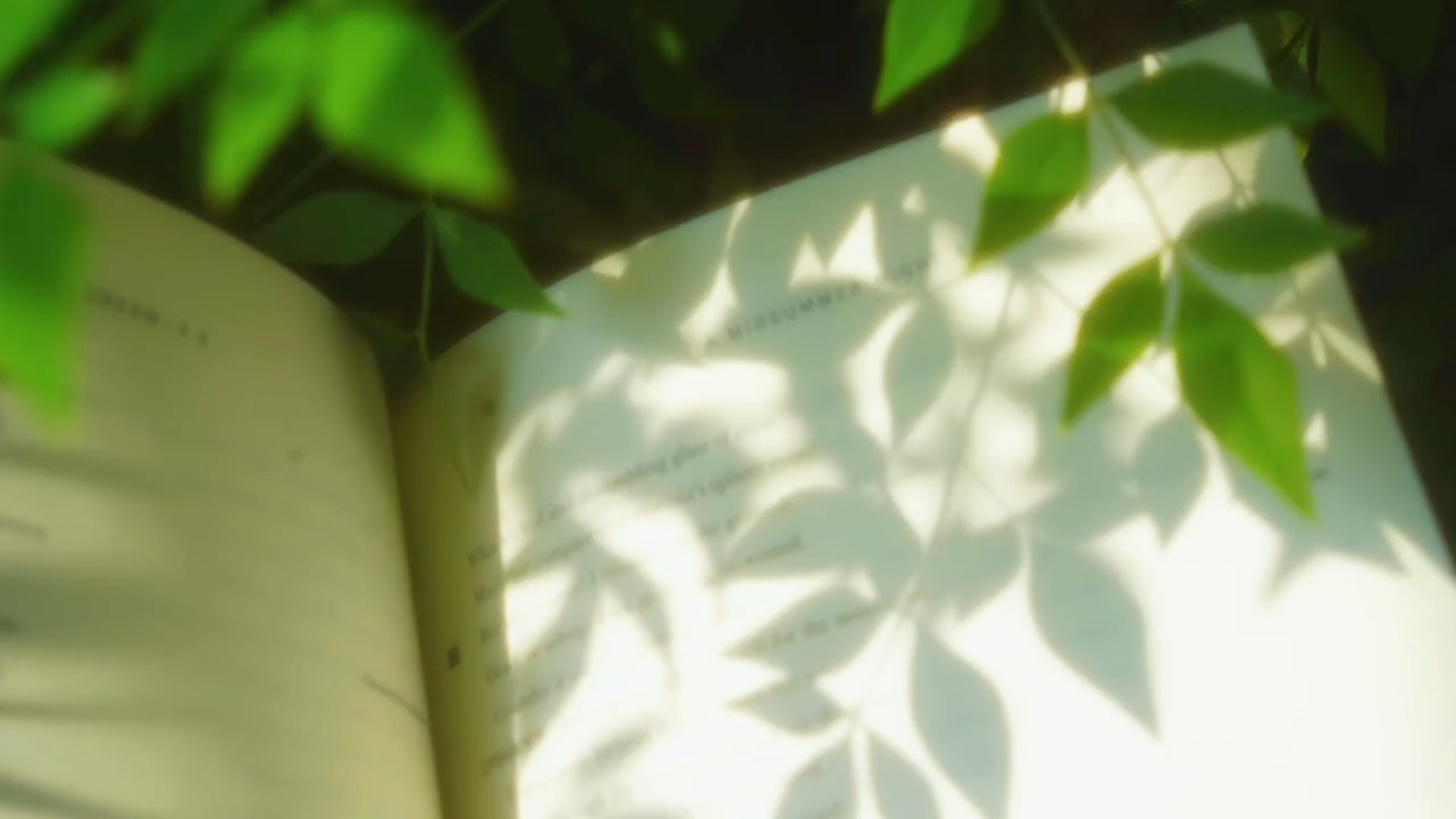 “春光作序 万物和鸣”