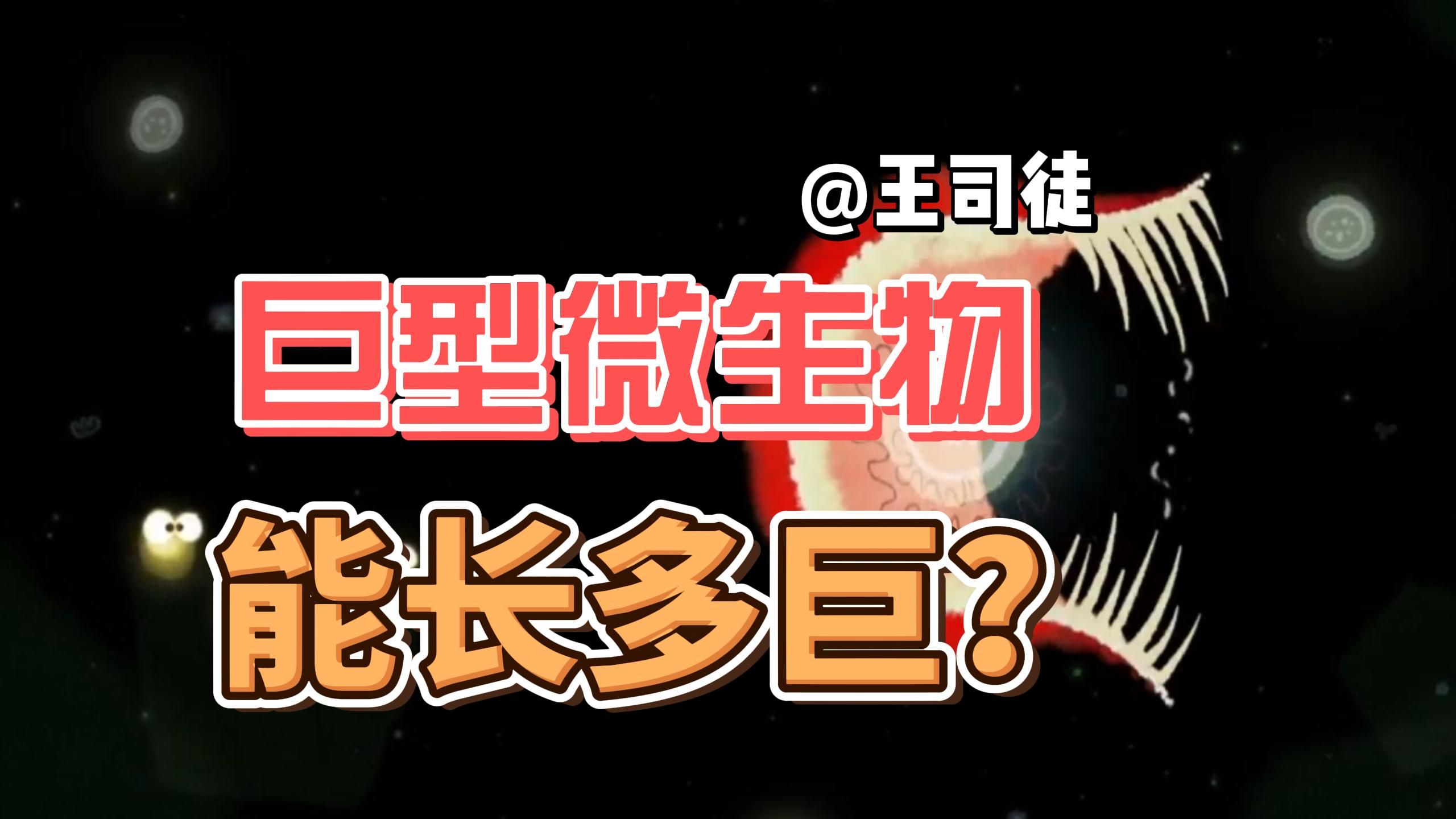 地球上的巨型微生物，能长到多大？