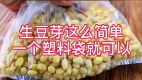 生黄豆芽教程 7db7819799d653afdc8e678adab1daa17805842f.jpg@280w_158h_1c_100q.jpg