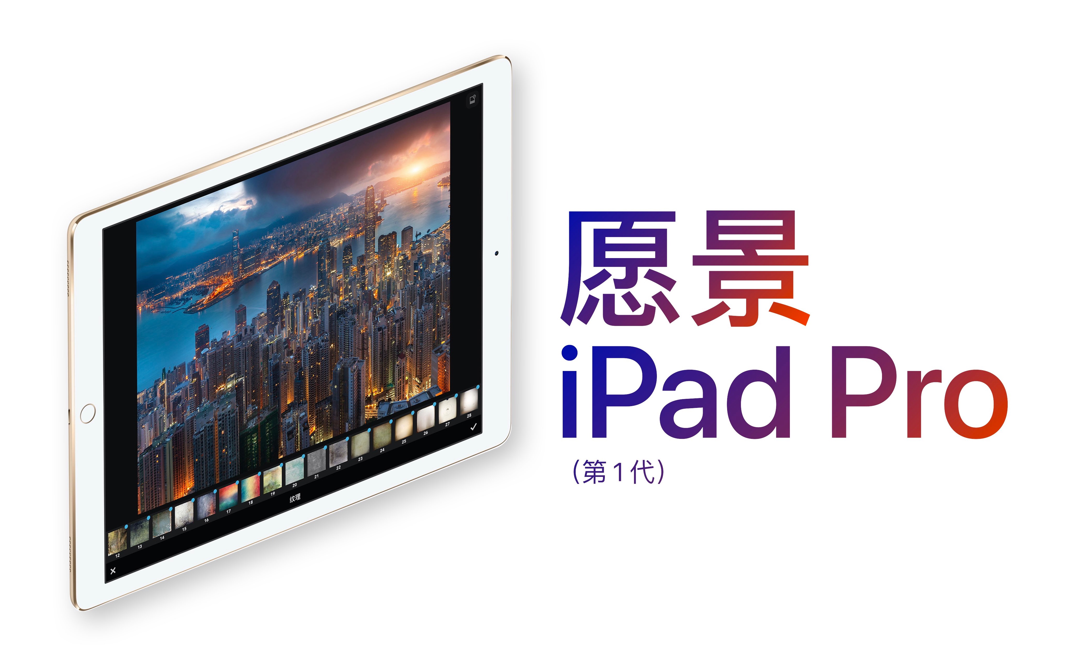 愿景 iPad Pro（第 1 代）