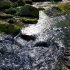 4K 山间小溪 感受春天 大自然环境的气息 原声 水流声 鸟叫声